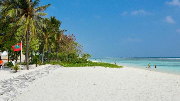 A beach with white sand, palm trees, and a clear blue sky. - Coconut Tree Hulhuvilla Beach (Hulhumalé)