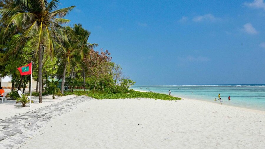 Coconut Tree Hulhuvilla Beach
