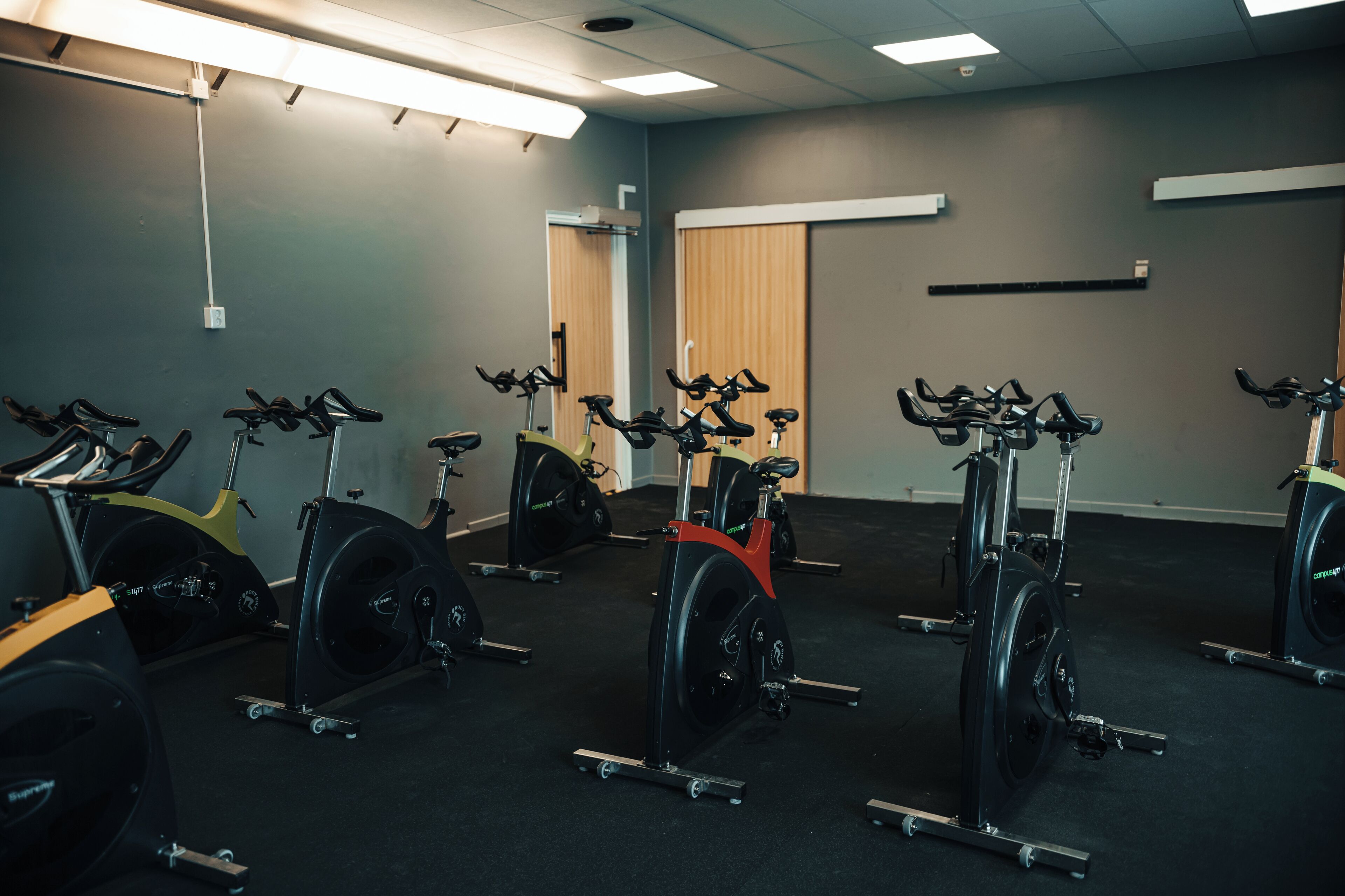 A gym with stationary bikes and ellipticals arranged in rows.