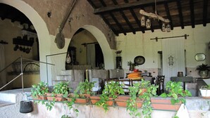 Una cocina rústica con macetas de terracota, plantas colgantes y vigas de madera.