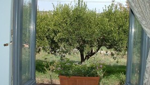 Una ventana con vista a un árbol y una jardinera de madera en el alféizar.