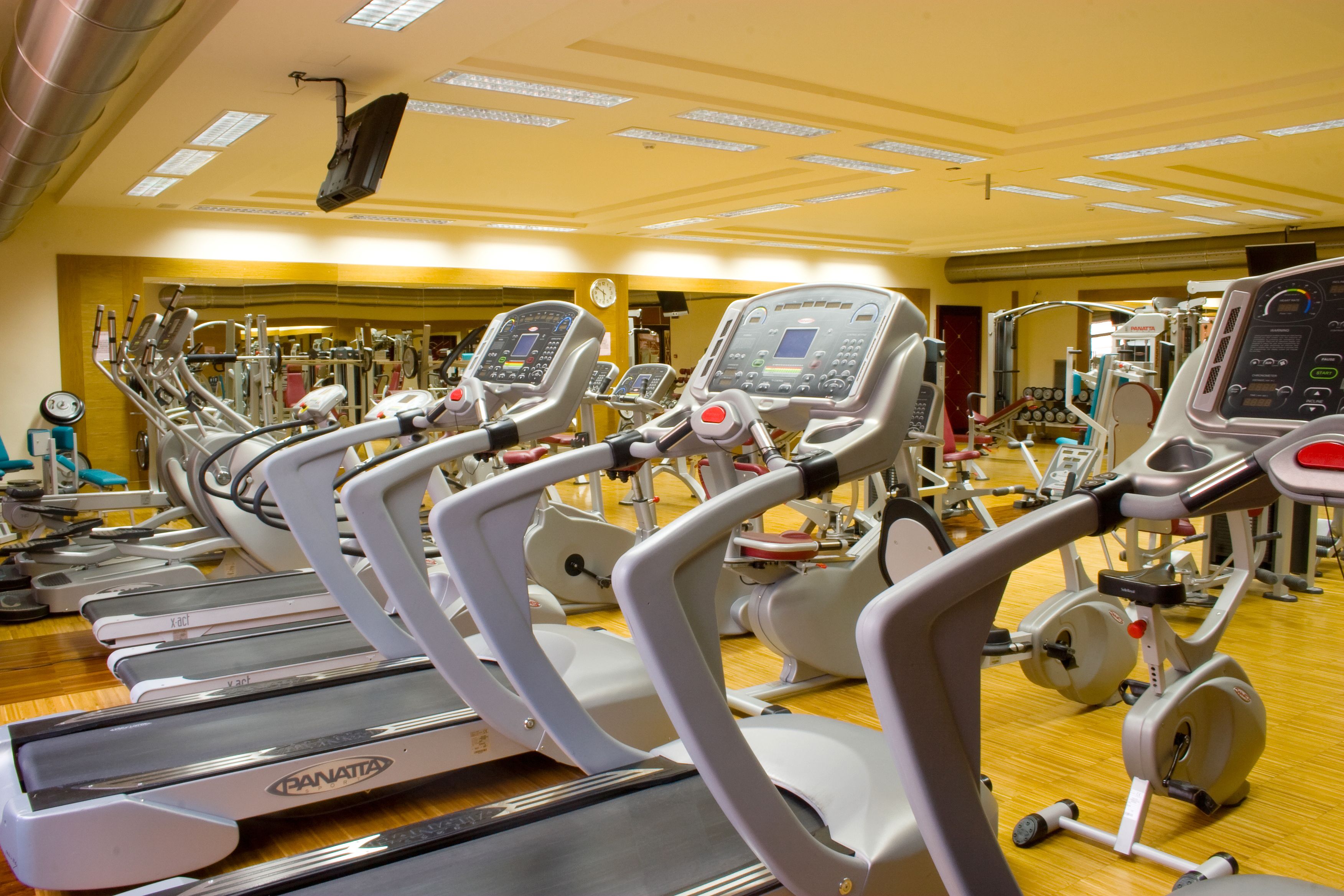 Palestra
