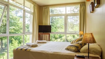 Habitación doble | Tabla de planchar con plancha, camas extra, wifi gratis y ropa de cama