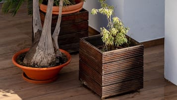 A wooden table with a blue towel, potted plants, and a white wall.