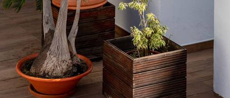 A wooden table with a blue towel, potted plants, and a white wall.