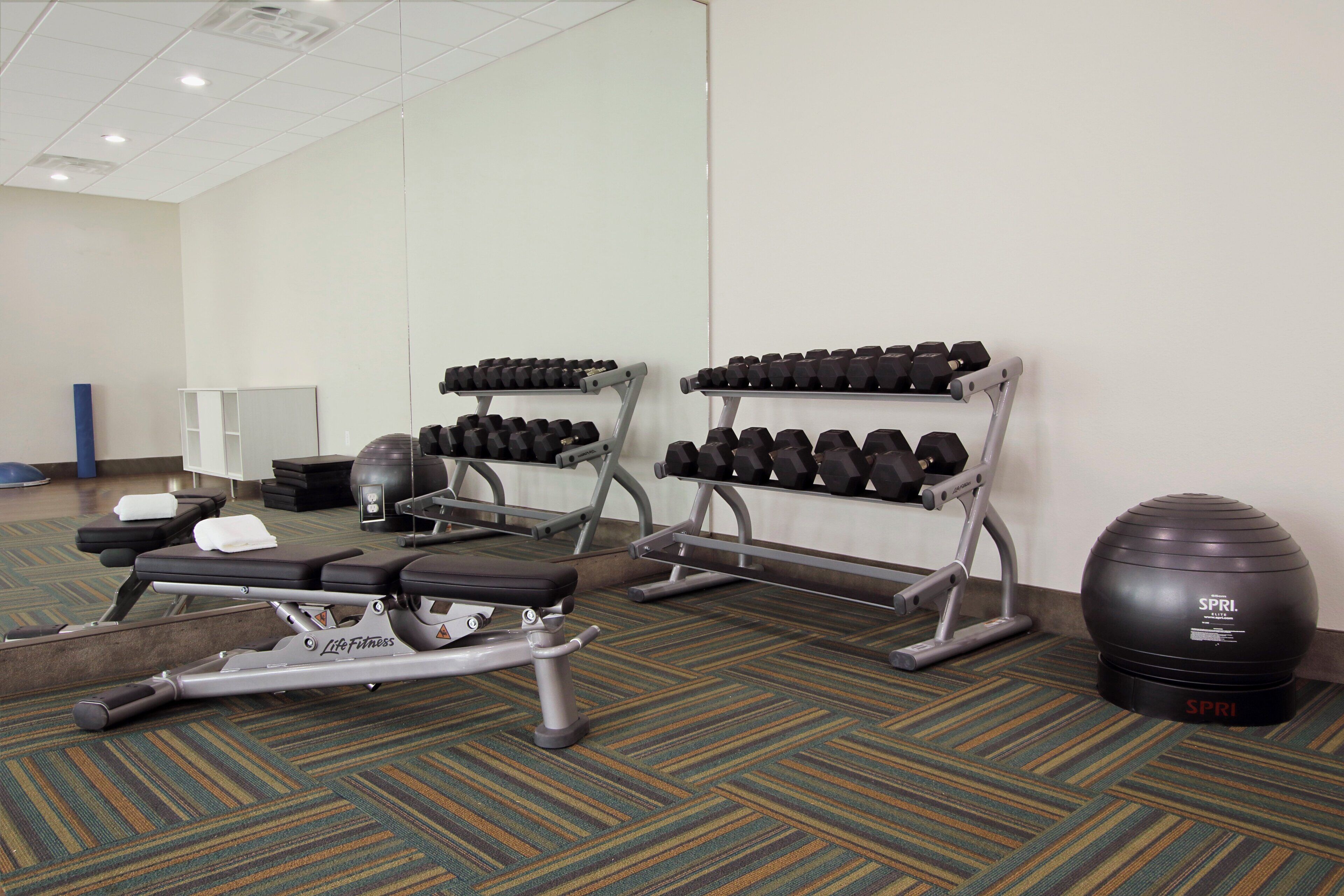 Un gimnasio con equipamiento de ejercicio, que incluye una cinta de correr, bancos de pesas y mancuernas.