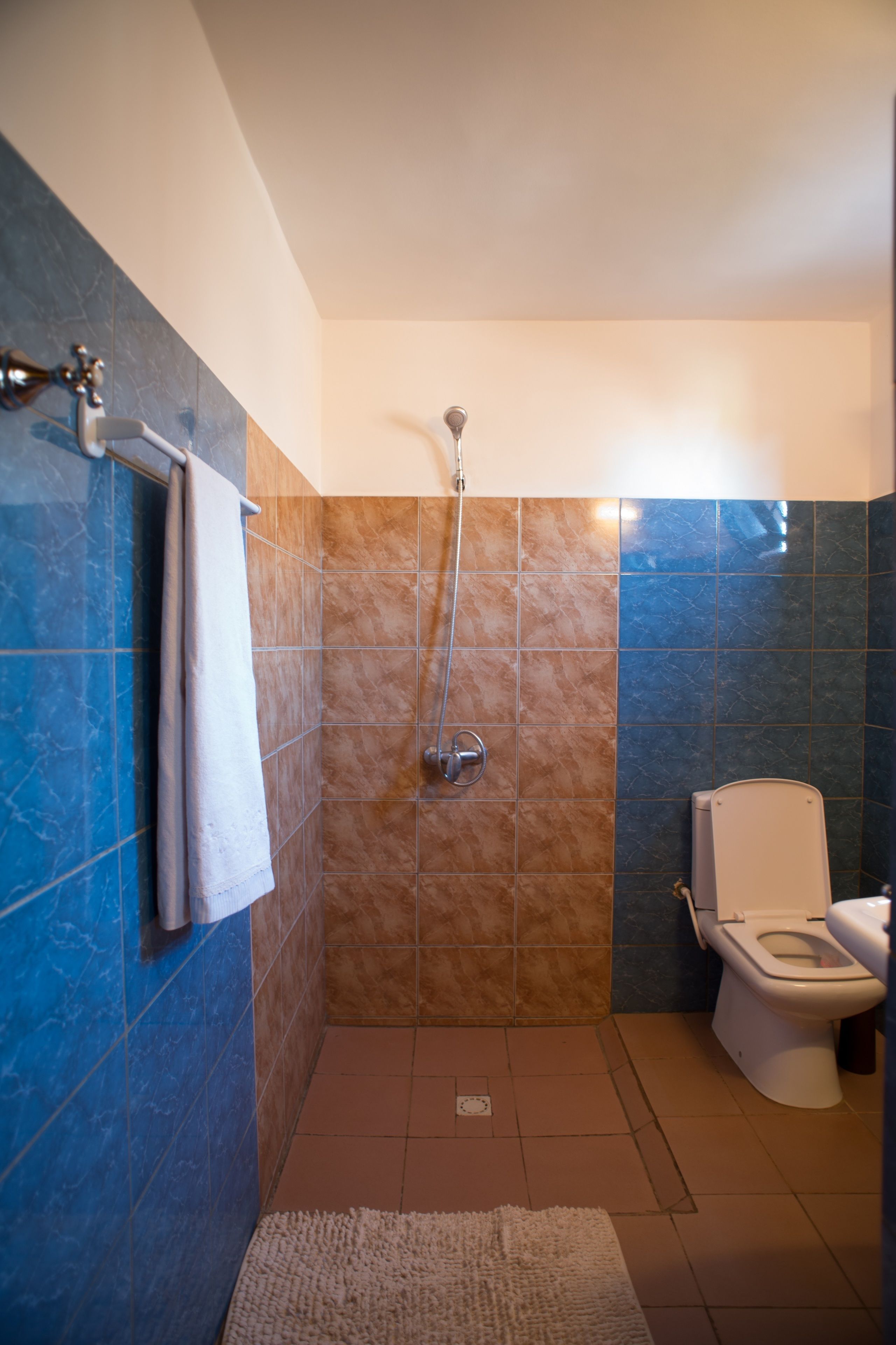 Ein Badezimmer mit Dusche, Toilette und Handtuchhalter.