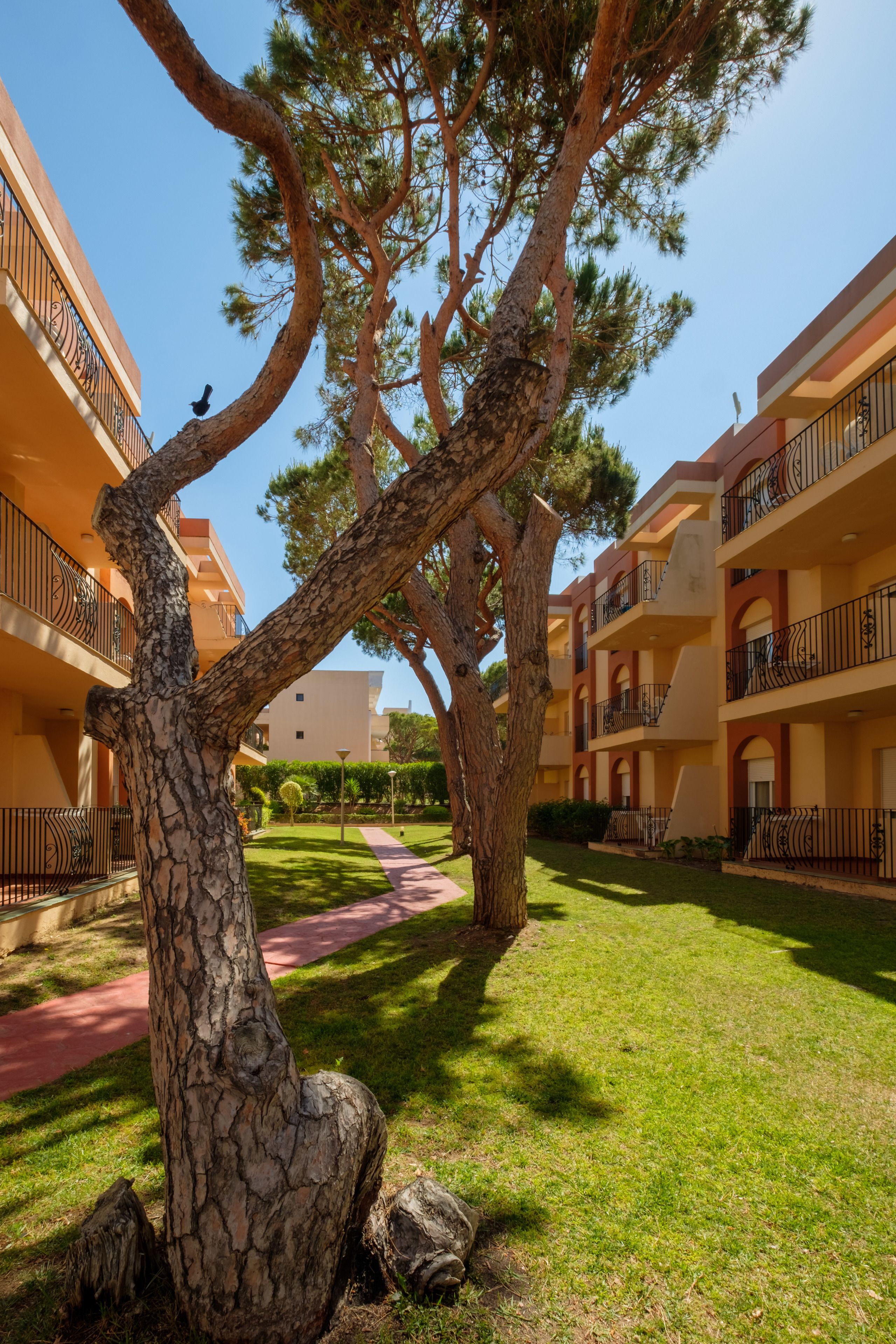 Jardín
