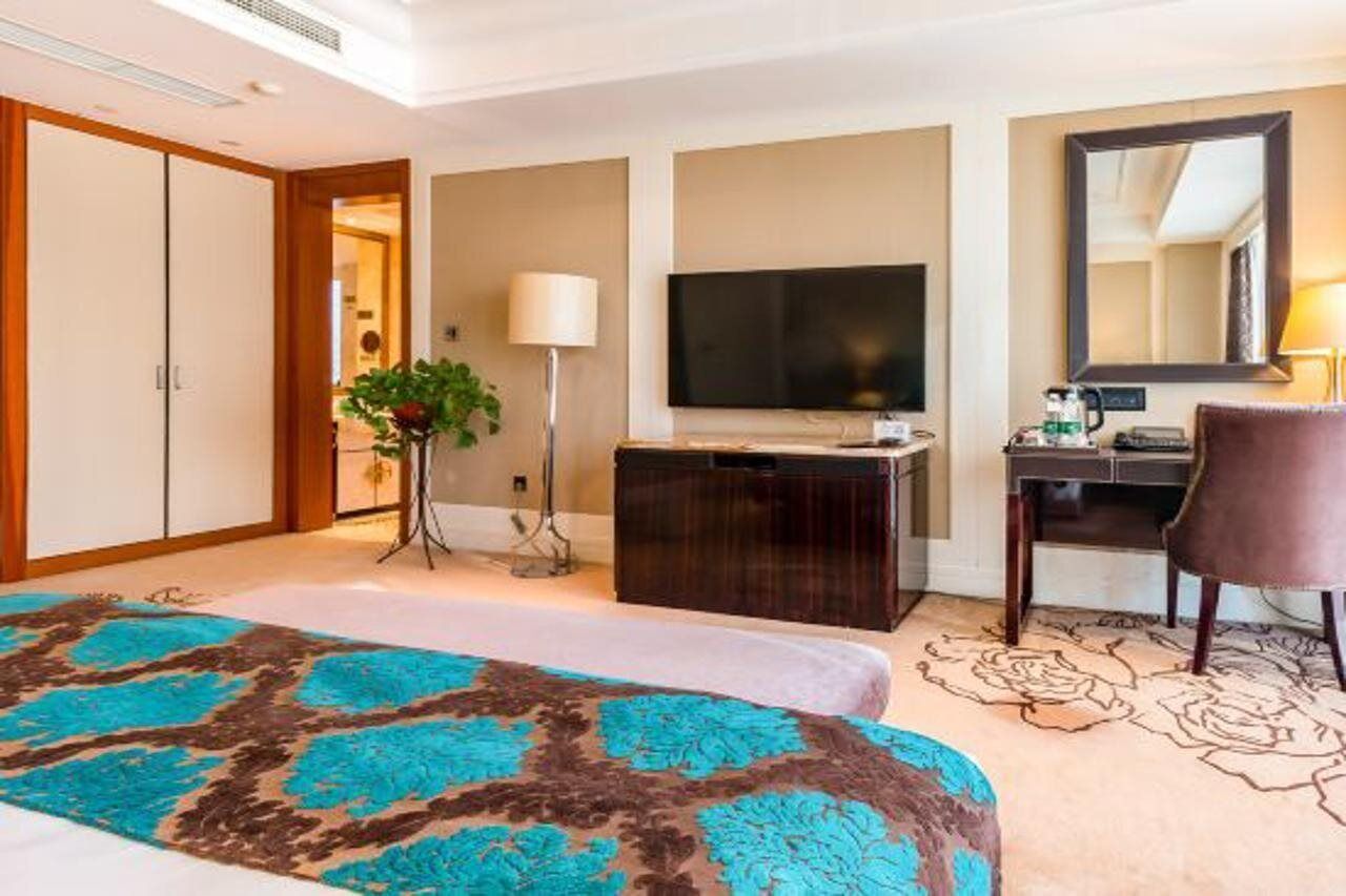 Habitación de hotel con cama, escritorio, televisión, espejo y planta.