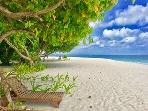 Plage à proximité, sable blanc, chaises longues, parasols
