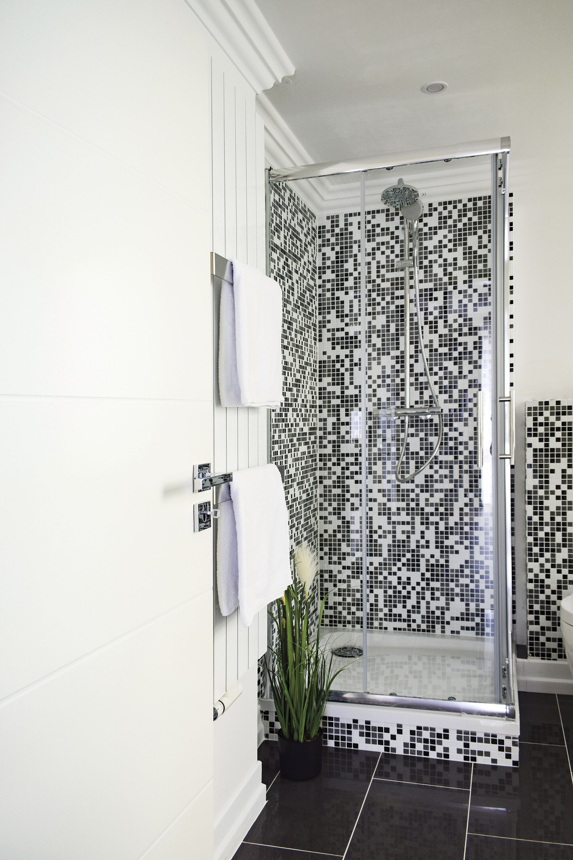 Ducha en el baño
