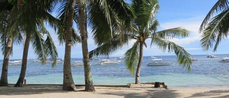 On the beach, scuba diving