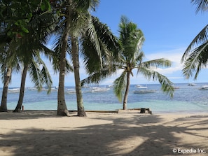 Una playa con palmeras y barcos en el agua.