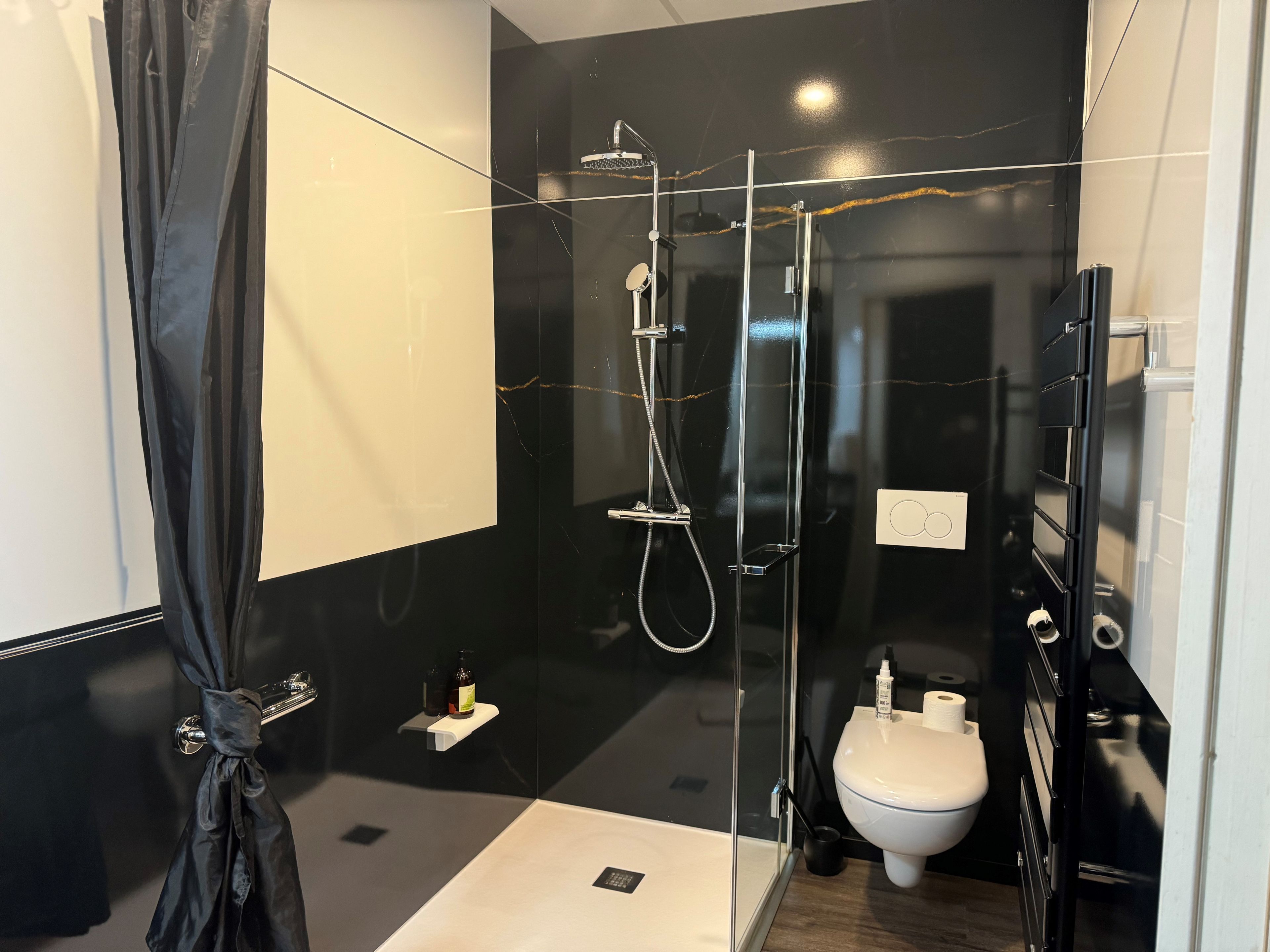 Une salle de bain moderne avec une douche à parois de verre, des toilettes et un lavabo.