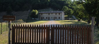 Vista del Mondo