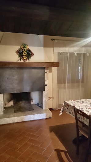 Honeymoon Apartment | Living room | 28-inch TV with digital channels, fireplace