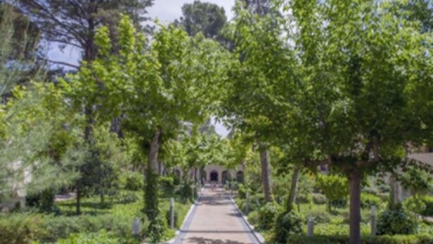 A pathway flanked by lush greenery and trees, leading to a building with a central entrance. - Confluent Health Resort (Cofrentes)