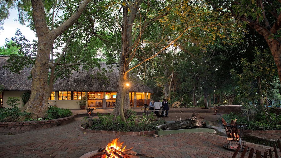 Island Safari Lodge