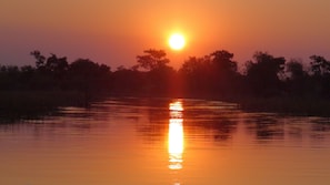 Exterior - Island Safari Lodge (Maun)