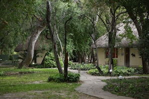 Classic Double Room | Garden view - Island Safari Lodge (Maun)