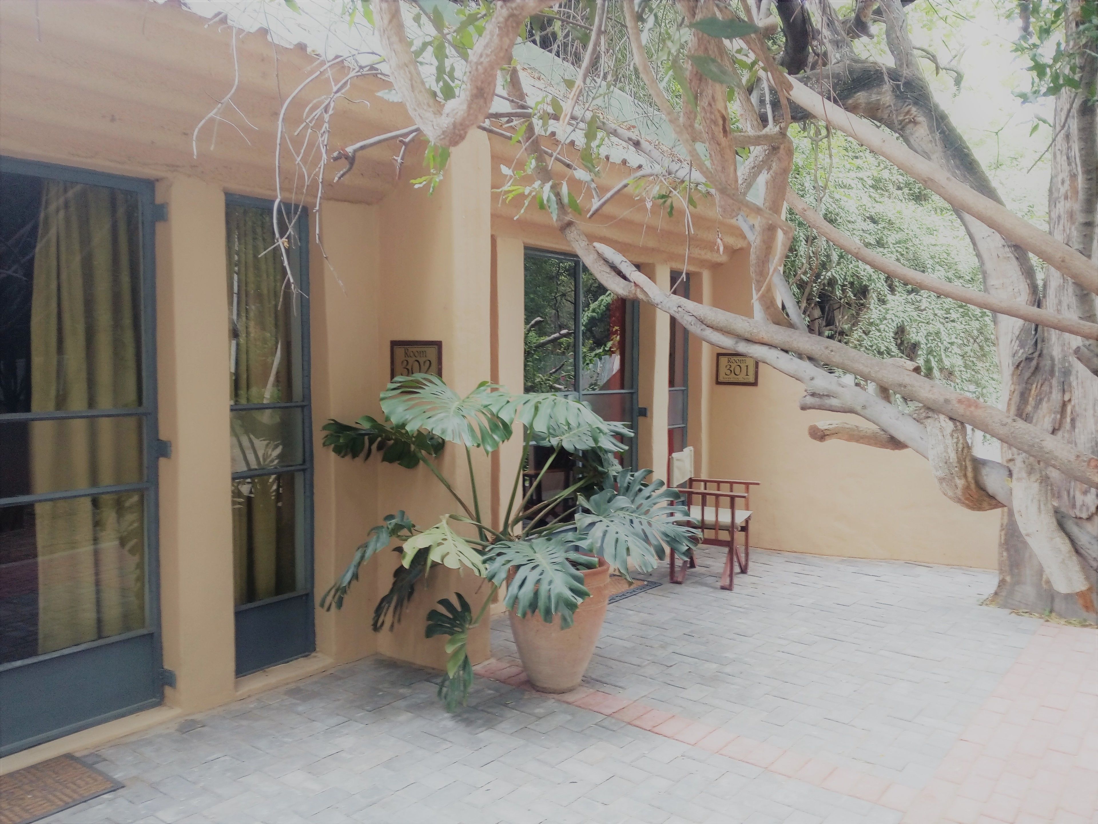 A building with a beige exterior, large windows, and a potted plant in the foreground.