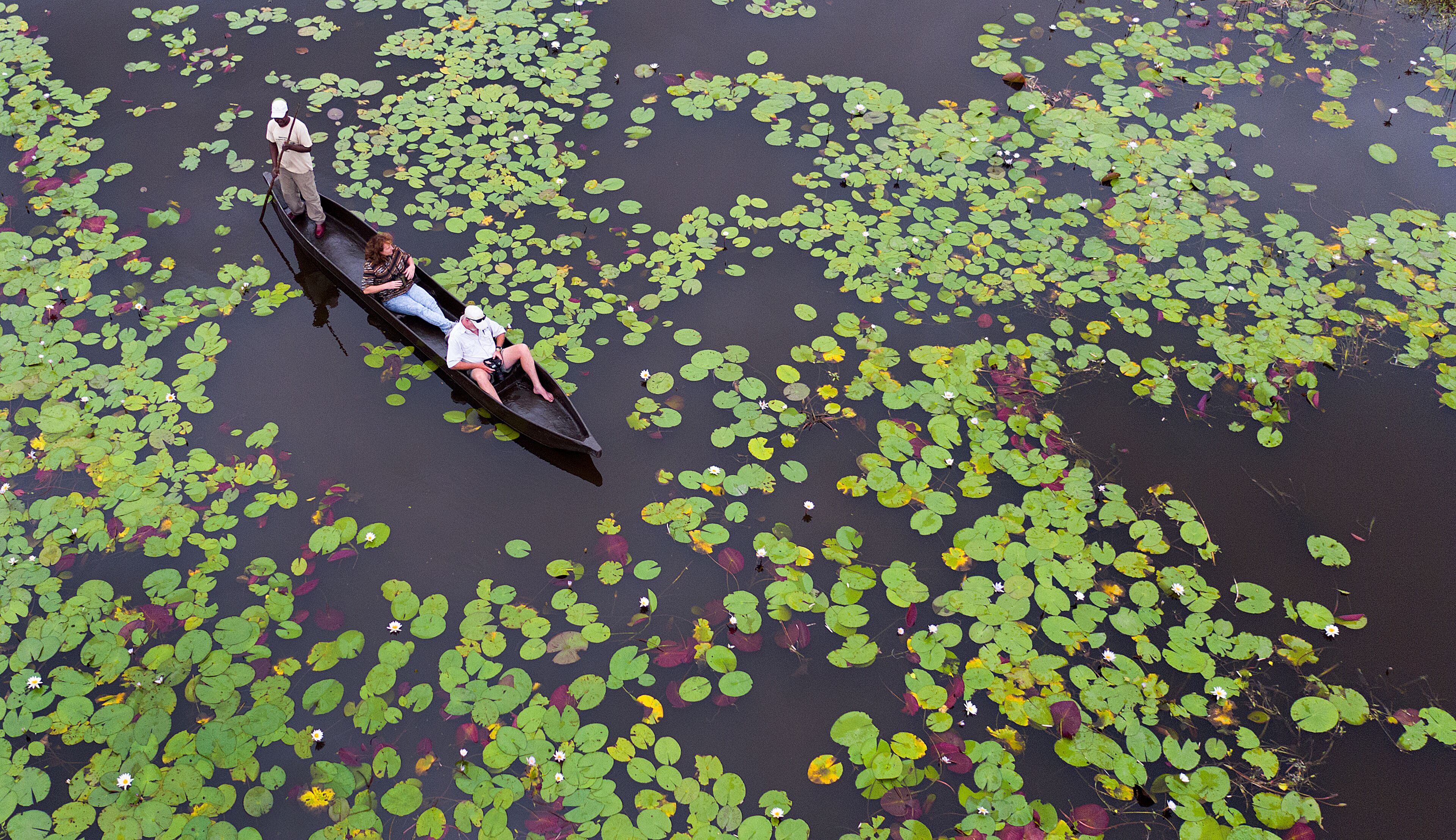 A boat with two people on a body of water surrounded by lily pads.