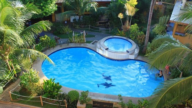 Una piscina rodeada de vegetación exuberante y palmeras, con un delfín visible en el agua.
