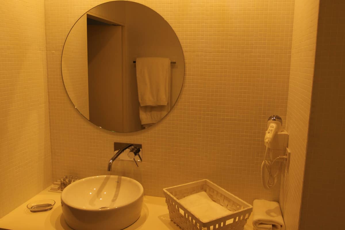 shower, designer toiletries, hair dryer, slippers