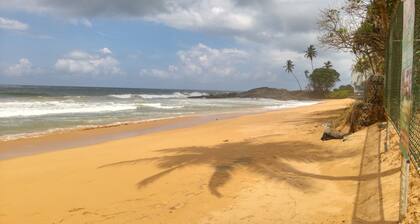 Ocean of Life Ayurvedic Resort
