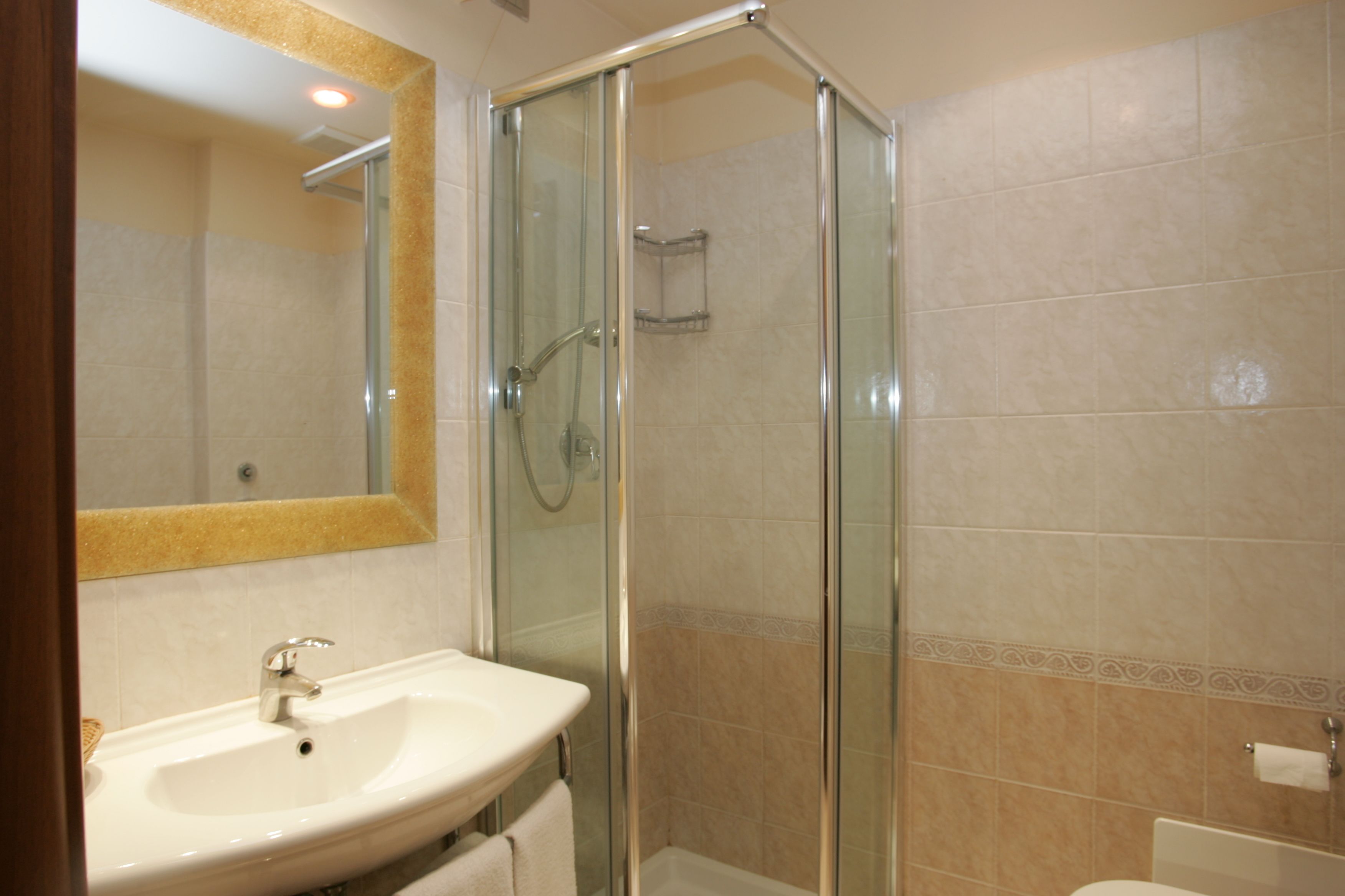 Een badkamer met een douche met glazen wand, een wastafel en een toilet.