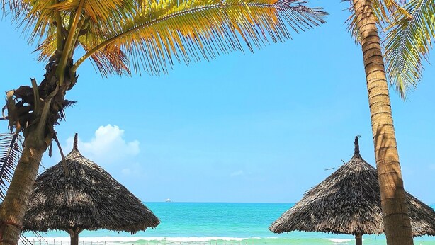 A beach with thatched umbrellas, wooden benches, and a sandy shore.