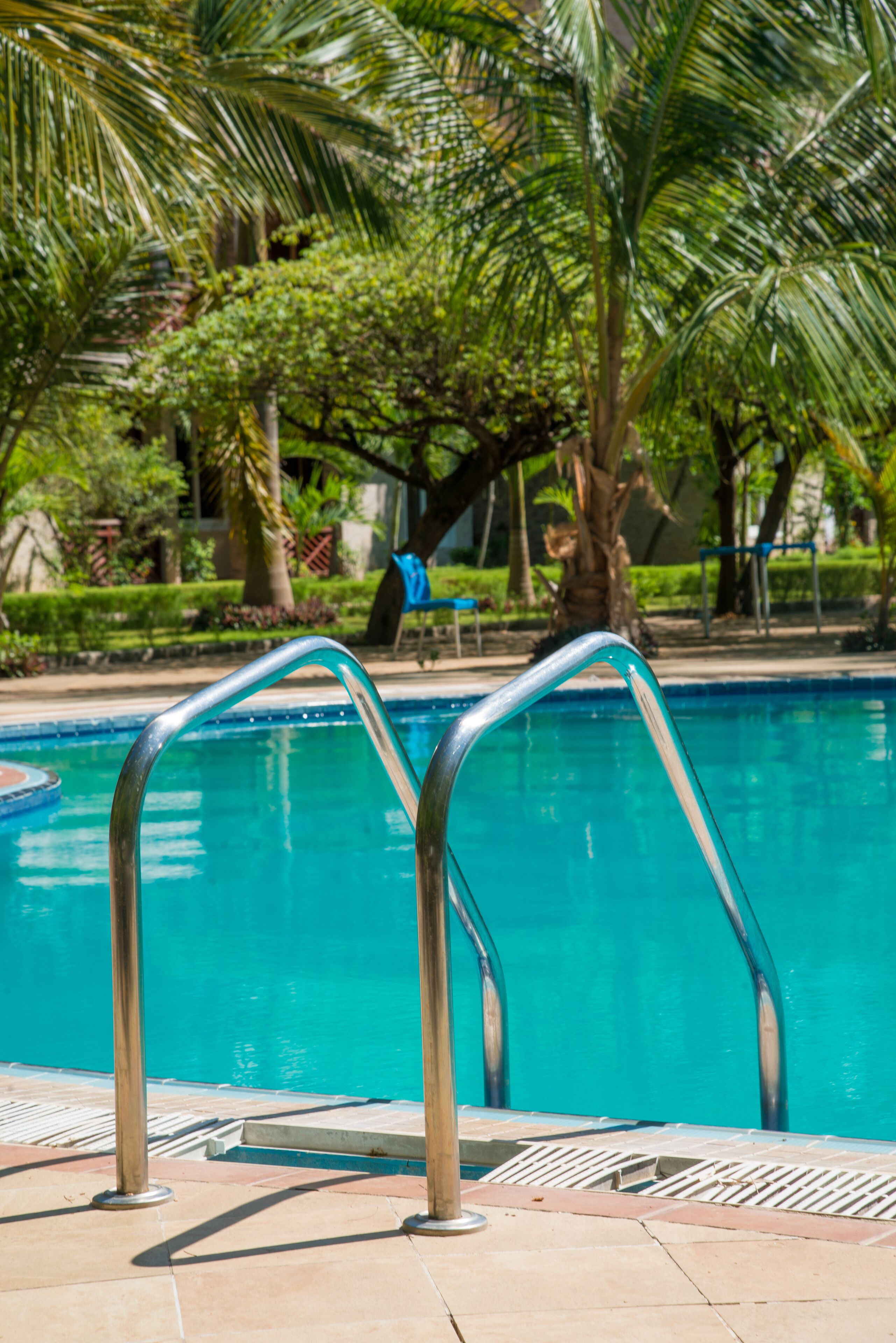 A swimming pool with metal railings, surrounded by palm trees and greenery.