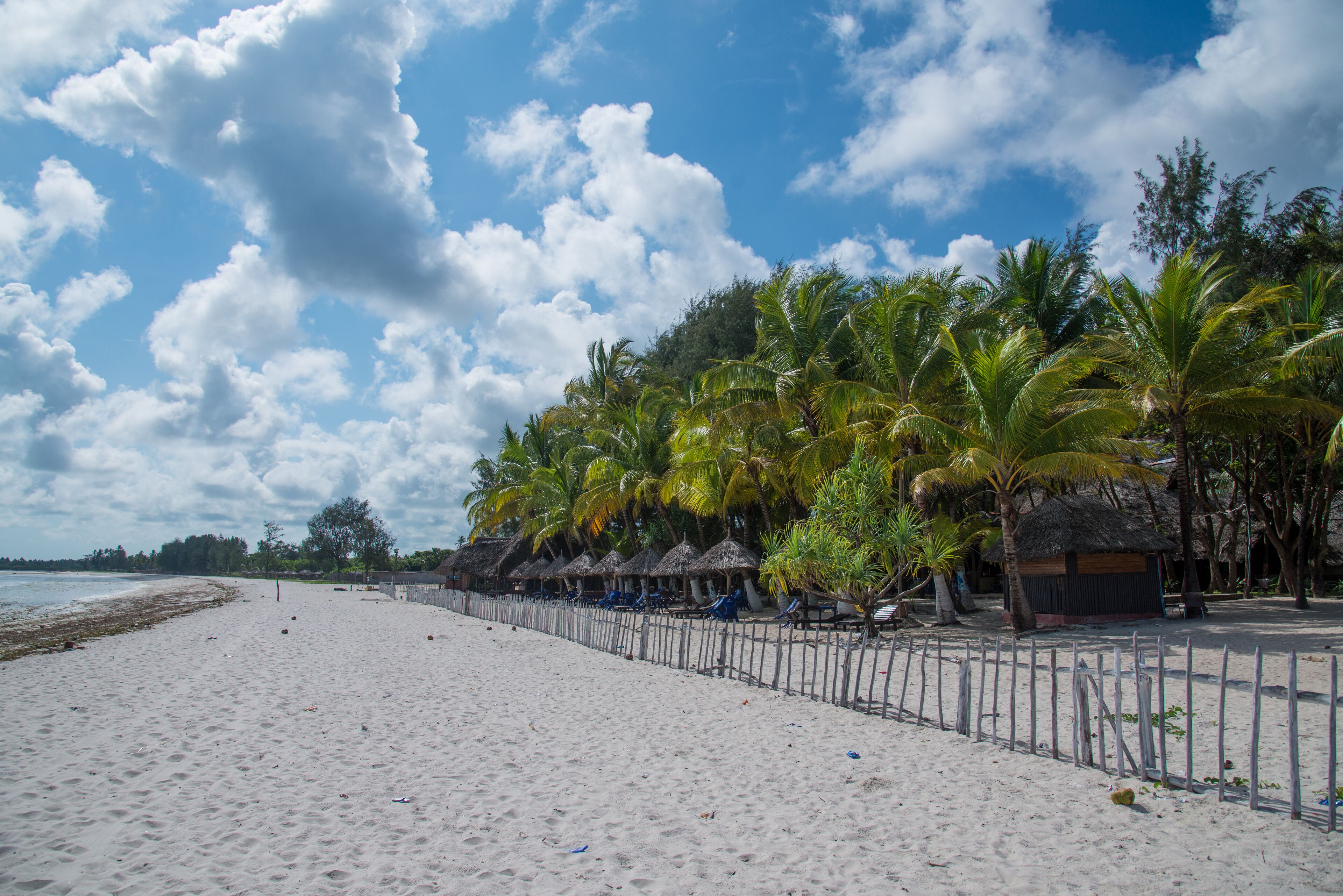 A beach with white sand, palm trees, and thatched-roof huts.