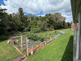 Área de parrillas y picnic