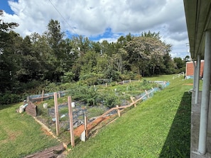 Vistas desde el alojamiento