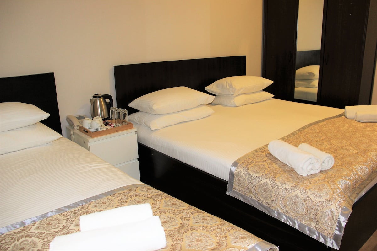 Habitación triple familiar, varias camas, baño privado, vistas a la ciudad | Minibar, tabla de planchar con plancha, camas supletorias y wifi gratis