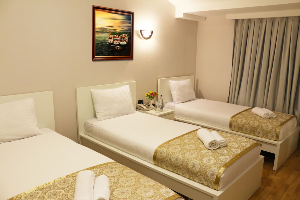 Minibar, iron/ironing board, rollaway beds, free WiFi