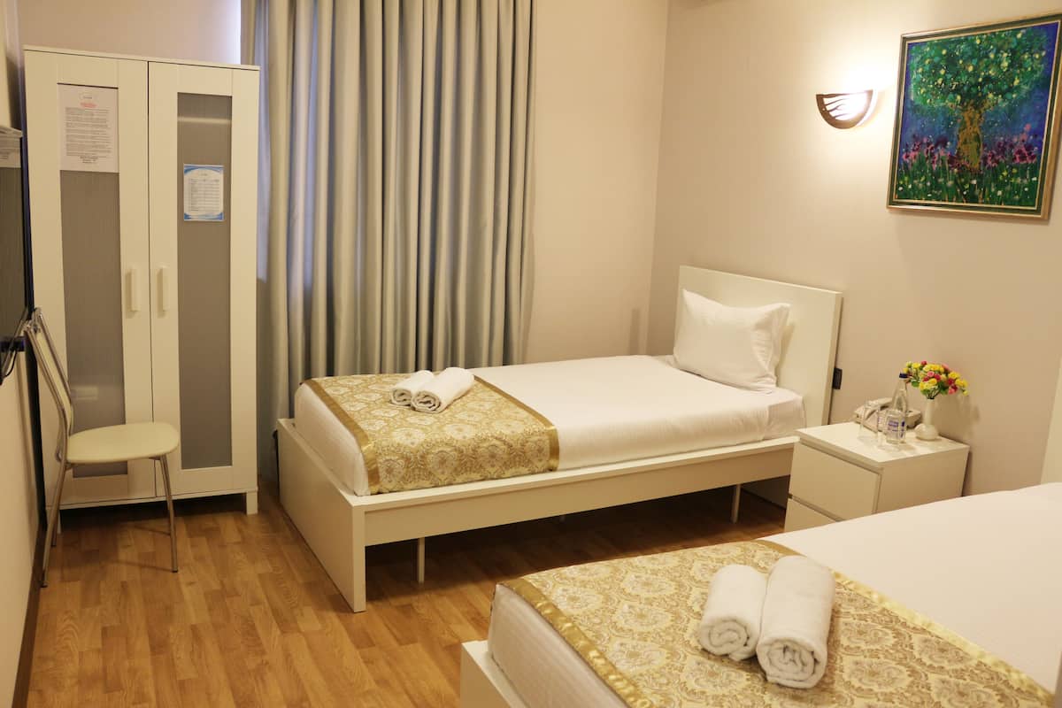 Habitación estándar con 2 camas individuales, vistas a la ciudad | Minibar, tabla de planchar con plancha, camas supletorias y wifi gratis