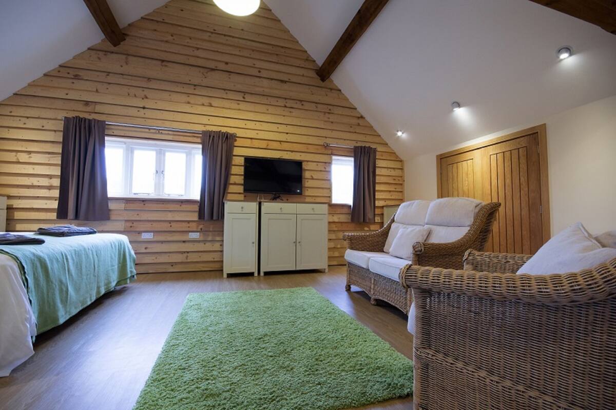 Une pièce chaleureuse avec un plafond en pente, des murs en bois, un tapis vert, un lit, un canapé en osier et un téléviseur fixé au mur.