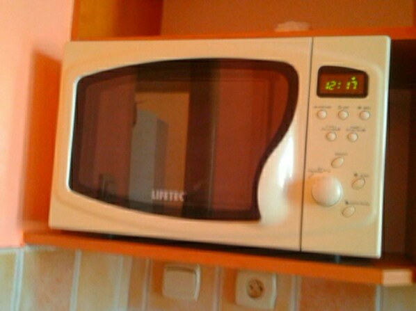 Full-size fridge, microwave, oven, stovetop - My house (Teplice)