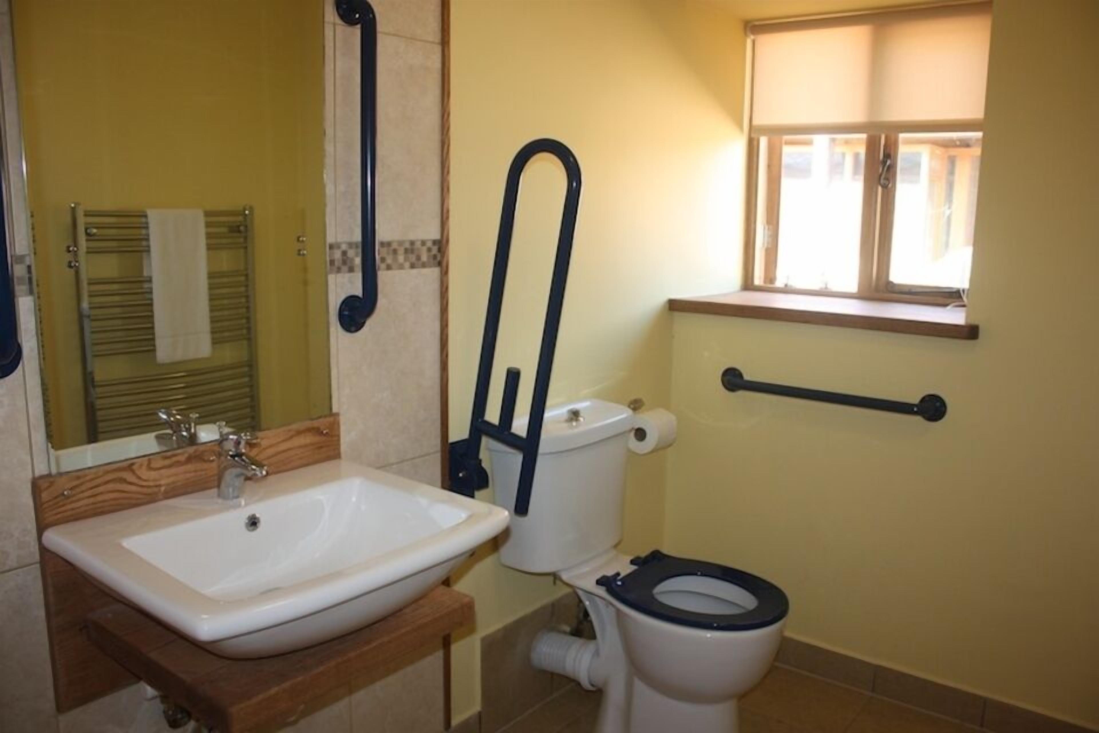 Shower, towels, toilet paper