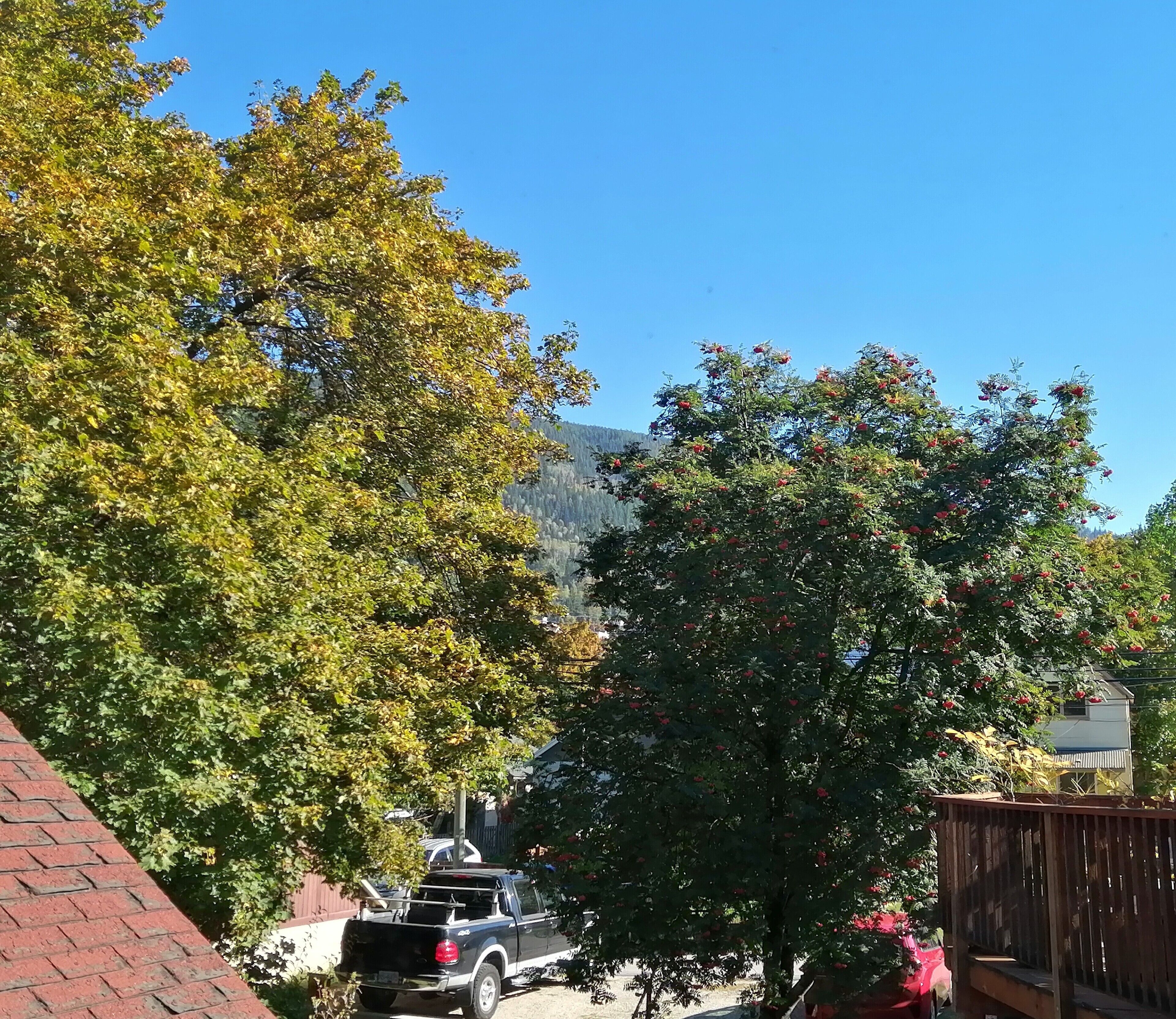 standard room, 1 queen bed, garden view | garden view