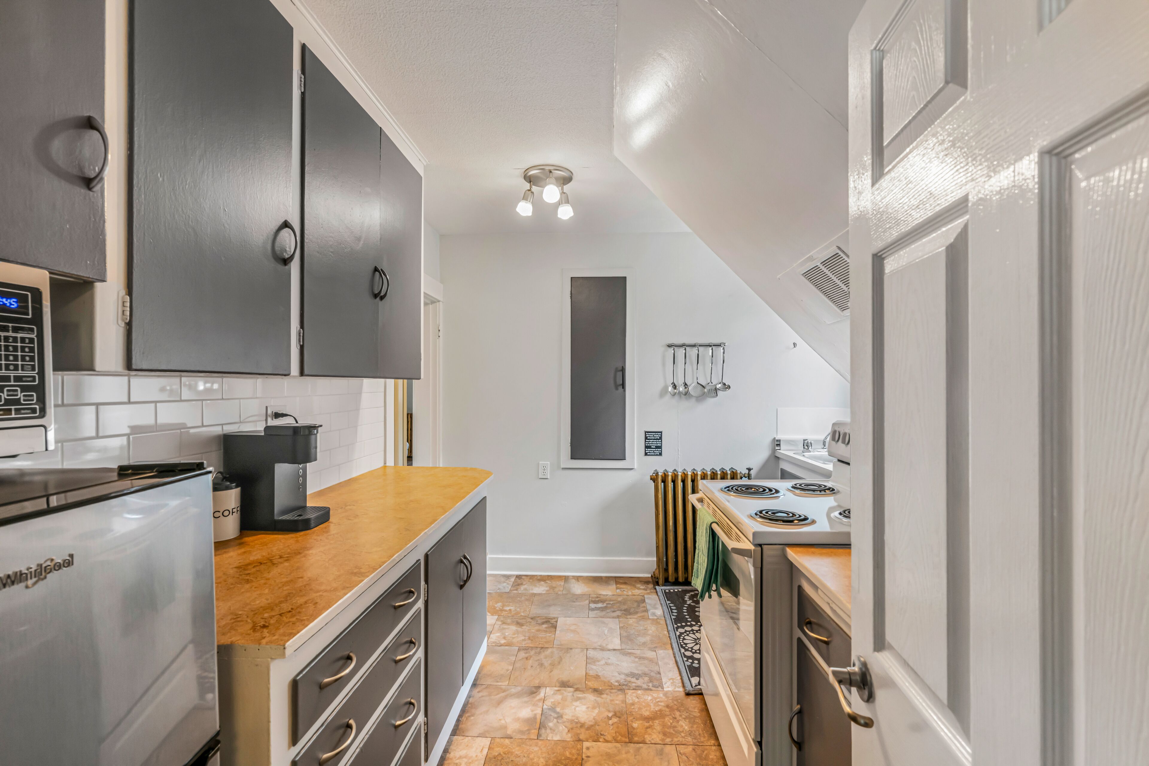 panoramic apartment, 2 bedrooms, kitchen, lake view | private kitchen | fridge, microwave, coffee/tea maker, electric kettle