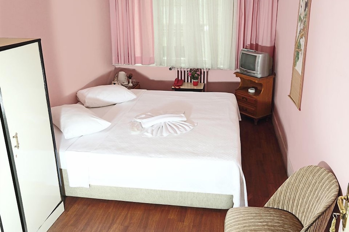 A neatly made bed with pillows, a bedside table with a telephone and a small plant, a television on a wooden stand, and a chair in a pink room with wooden flooring.