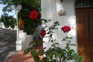 Außendetails
