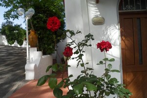 Detalle del exterior