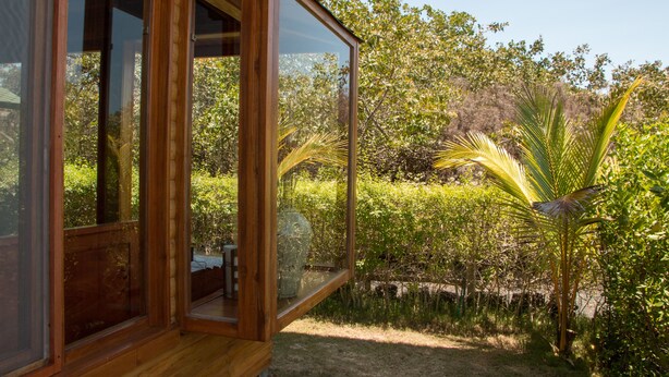 Una estructura de madera con amplios ventanales, rodeada de exuberante vegetación y una palmera.