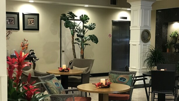 Eine Lobby mit Korbmöbeln, einem großen Topfpflanzen und gerahmten Bildern an der Wand.