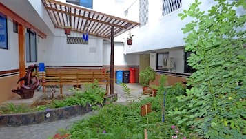 Tuin