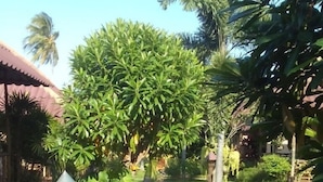 A pathway lined with lush greenery and a lamp post. - Bee Nat Garden Resort (Koh Samui)